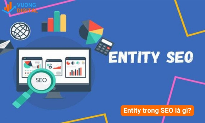 entity là gì