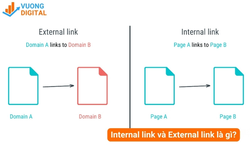 internal link và external link là gì