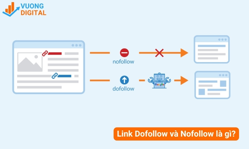 link dofollow và nofollow là gì