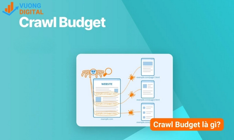 Crawl Budget là gì